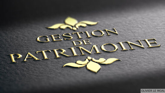 Gestionnaire patrimoine Roanne, Marcigny